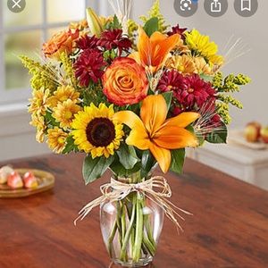 Meet your Posher, Sandy